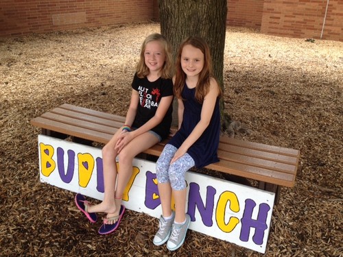 2124484/x_012353_buddy bench 5th1.JPG